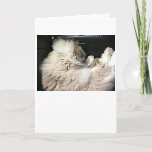 Långsamma dagar, kort (Framsida)