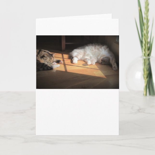 Långsamma dagar, kort (Framsida)