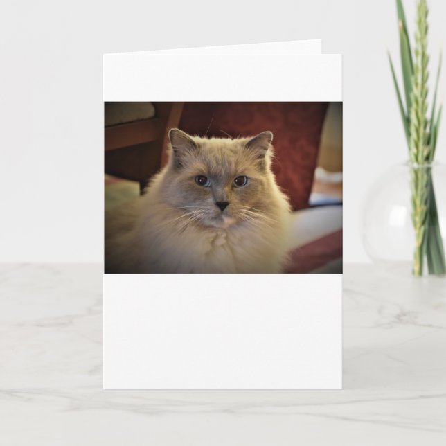 Långsamma dagar, kort (Framsida)