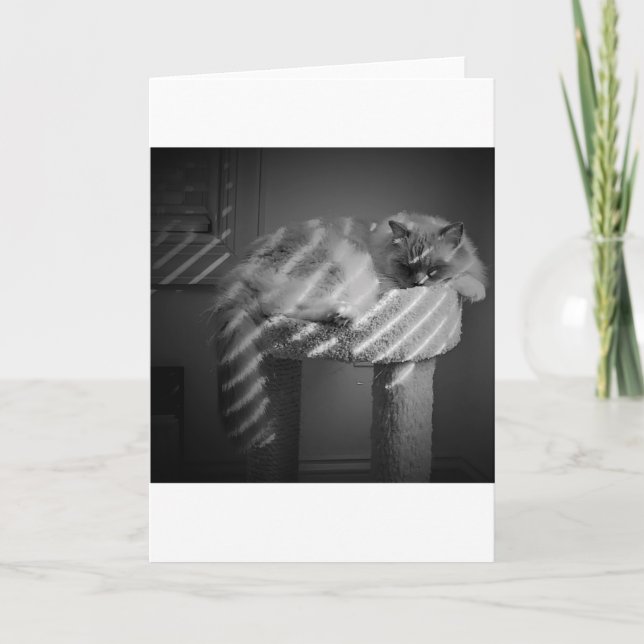 Långsamma dagar, kort (Framsida)