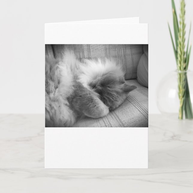 Långsamma dagar, kort (Framsida)