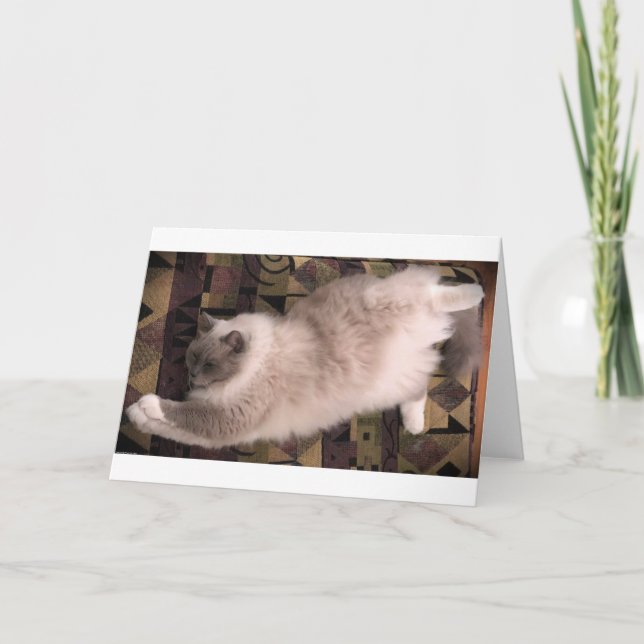 Långsamma dagar, kort (Framsida)