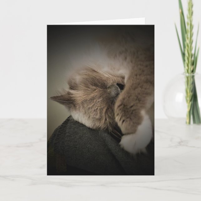 Långsamma dagar, kort (Framsida)