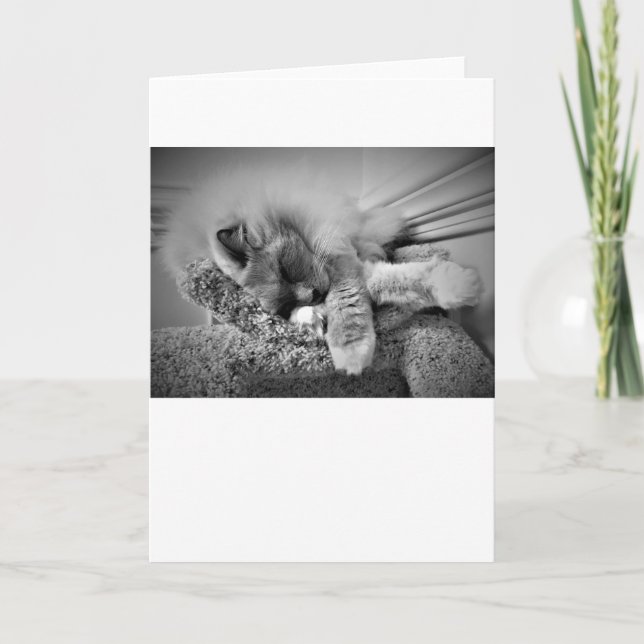 Långsamma dagar, kort (Framsida)