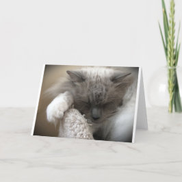 Långsamma dagar, kort