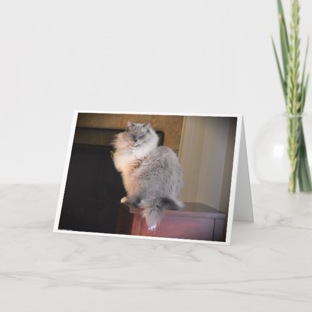 Långsamma dagar, kort (Framsida)