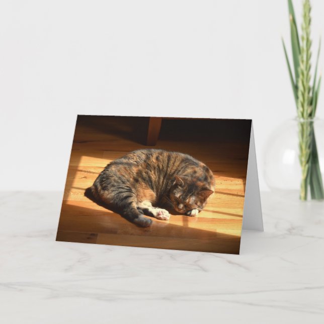 Långsamma dagar, kort (Framsida)