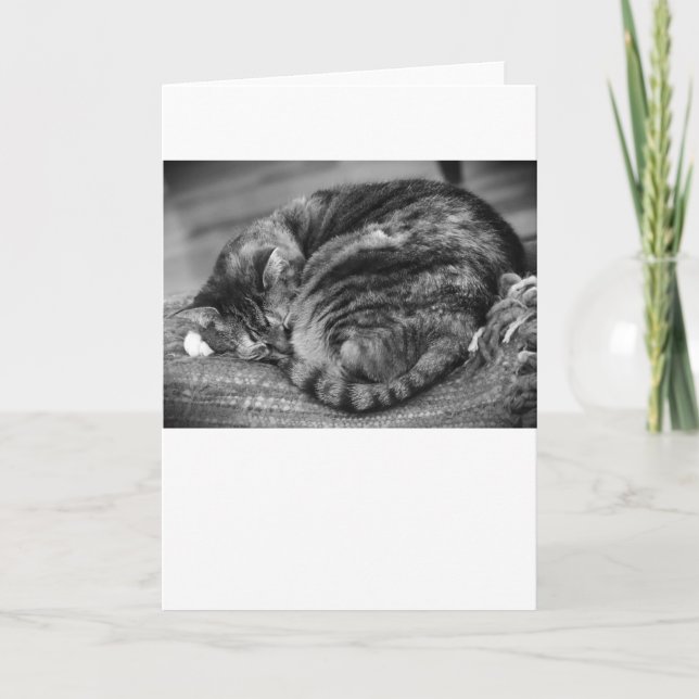 Långsamma dagar, kort (Framsida)