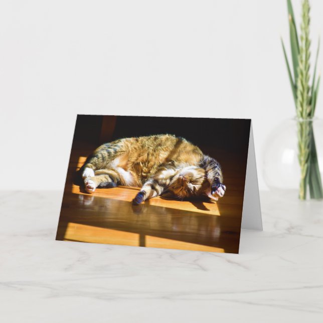 Långsamma dagar, kort (Framsida)