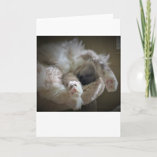 Långsamma dagar, kort (Framsida)