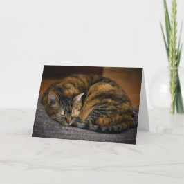 Långsamma dagar, kort