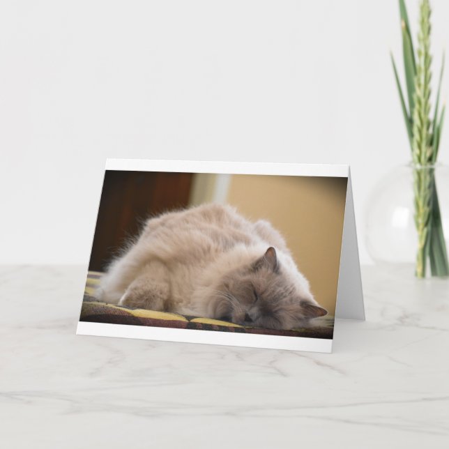 Långsamma dagar, kort (Framsida)