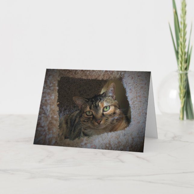 Långsamma dagar, kort (Framsida)