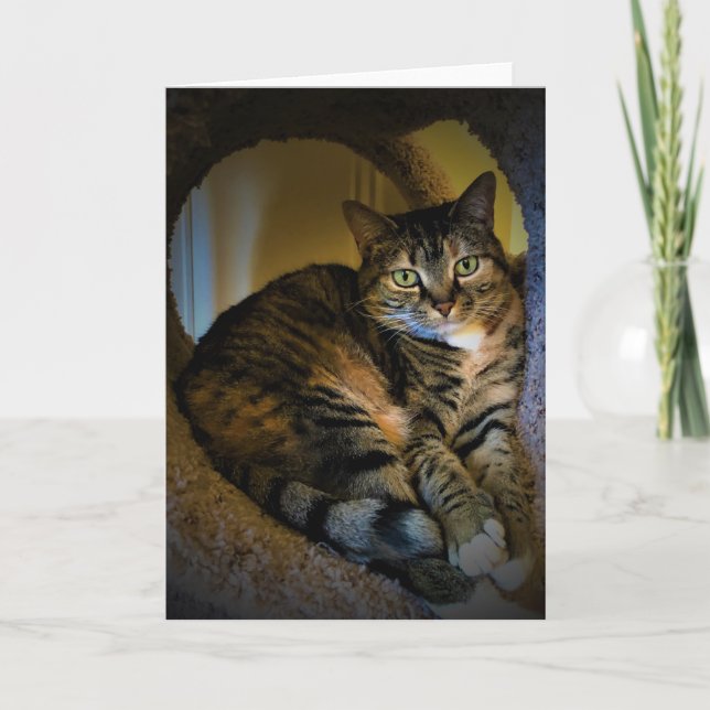 Långsamma dagar, kort (Framsida)