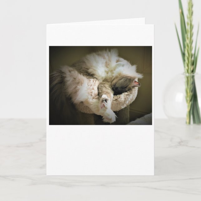 Långsamma dagar, kort (Framsida)