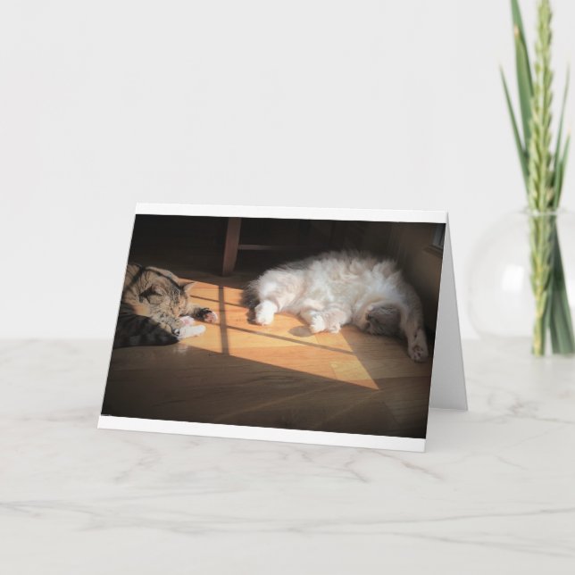 Långsamma dagar, kort (Framsida)