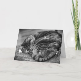 Långsamma dagar, kort