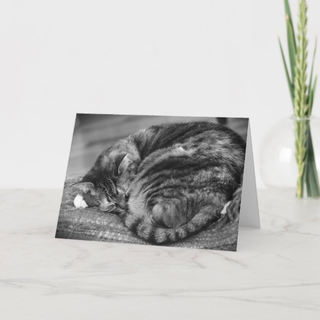 Långsamma dagar, kort (Framsida)