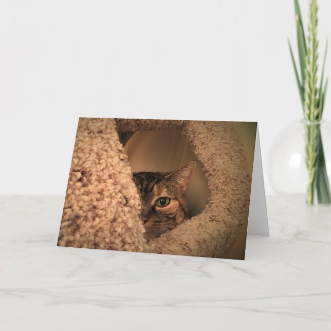 Långsamma dagar, kort (Framsida)