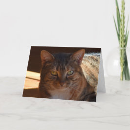 Långsamma dagar, kort