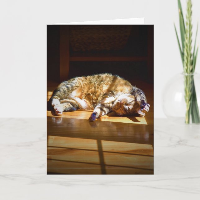 Långsamma dagar, kort (Framsida)