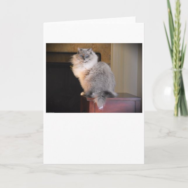 Långsamma dagar, kort (Framsida)