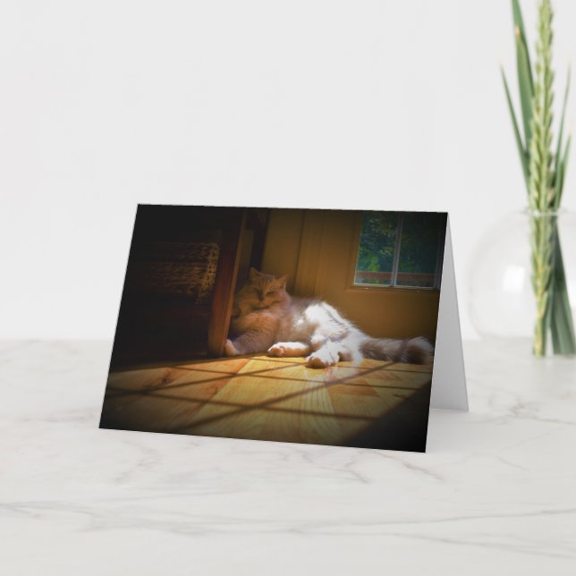 Långsamma dagar, kort (Framsida)