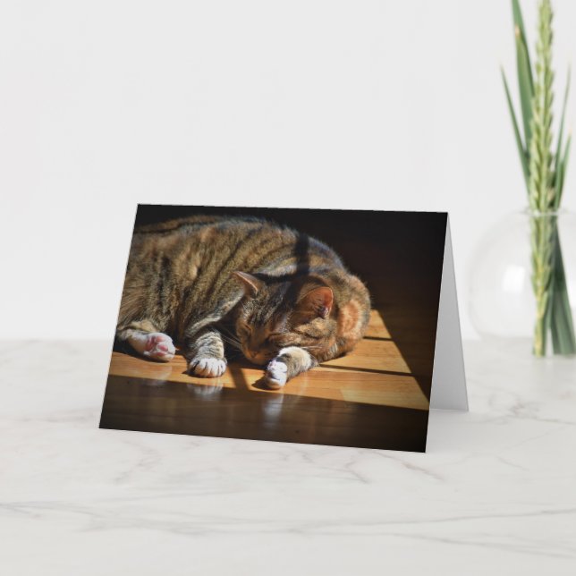 Långsamma dagar, kort (Framsida)