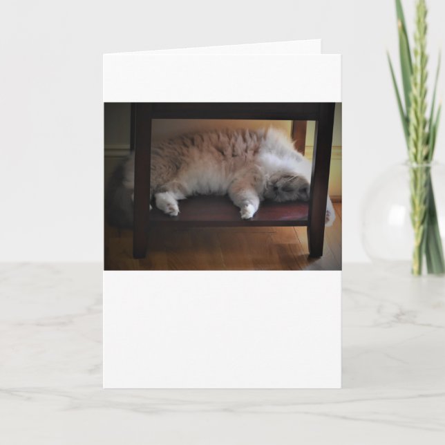 Långsamma dagar, kort (Framsida)