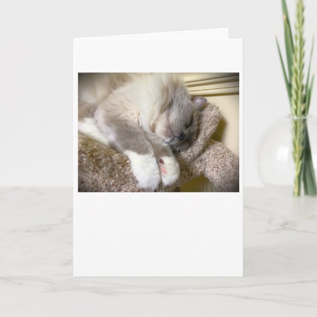 Långsamma dagar, kort (Framsida)