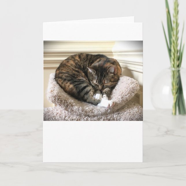 Långsamma dagar, kort (Framsida)