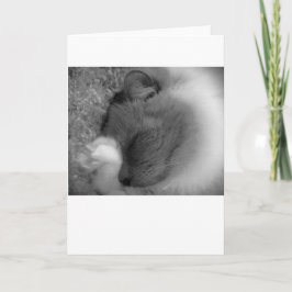 Långsamma dagar, kort