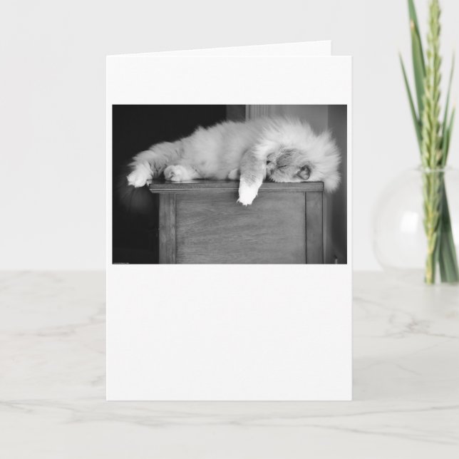 Långsamma dagar, kort (Framsida)