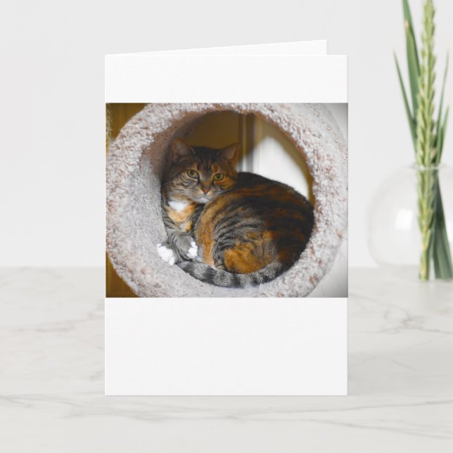 Långsamma dagar, kort (Framsida)