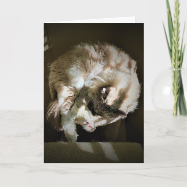 Långsamma dagar, kort (Framsida)