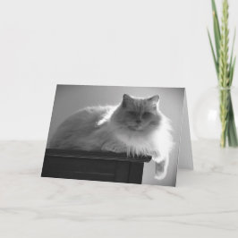 Långsamma dagar, kort