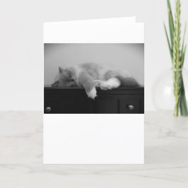 Långsamma dagar, kort