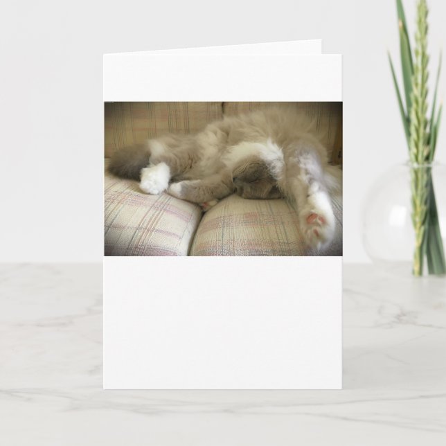 Långsamma dagar, kort (Framsida)