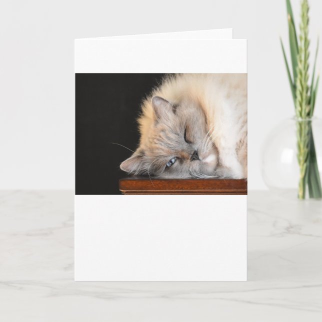 Långsamma dagar, kort (Framsida)