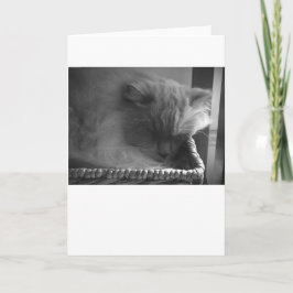 Långsamma dagar, kort