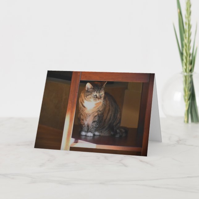 Långsamma dagar, kort (Framsida)