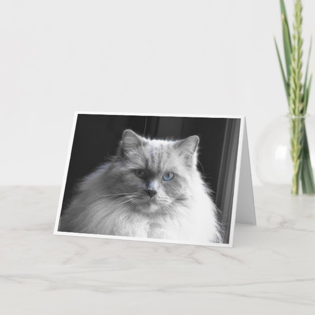 Långsamma dagar, kort (Framsida)