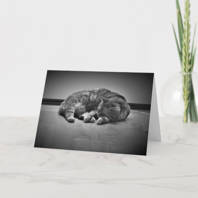 Långsamma dagar, kort (Framsida)