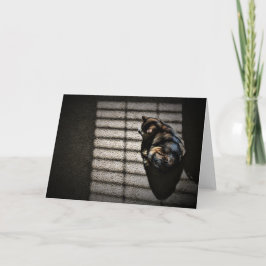 Långsamma dagar, kort