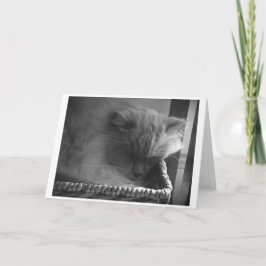 Långsamma dagar, kort