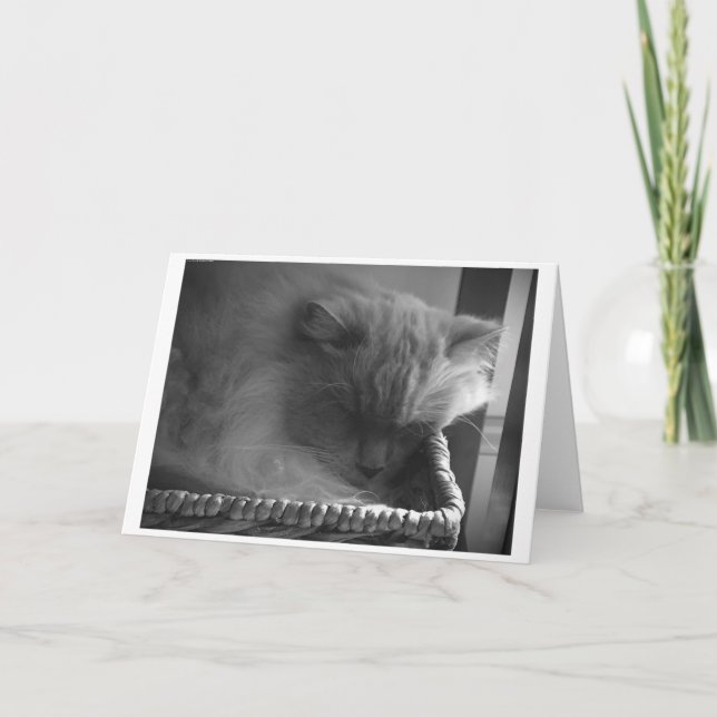 Långsamma dagar, kort (Framsida)