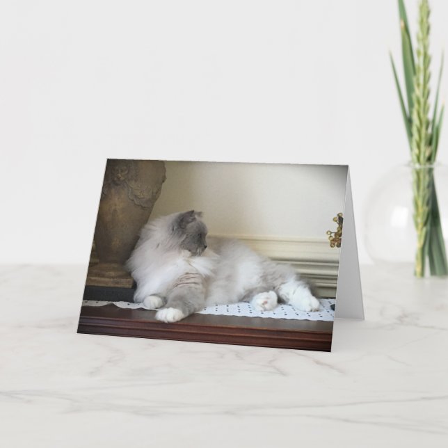 Långsamma dagar, kort (Framsida)