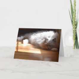 Långsamma dagar, kort