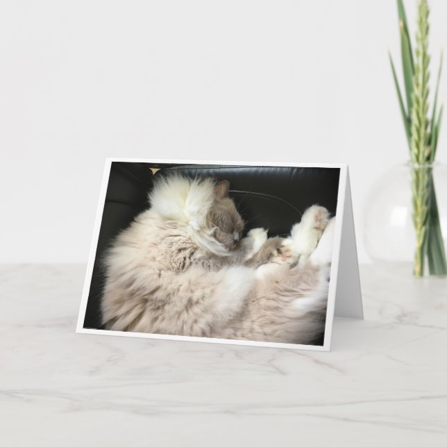 Långsamma dagar, kort (Framsida)