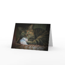 Långsamma dagar, kort